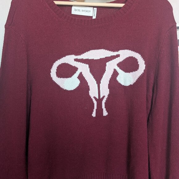 Rachel Antonoff Randy's Reproductive System Sweater - Picture 2 of 4